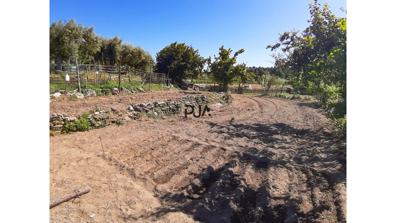 Quinta T0 para Venda em Algodres Foto 10