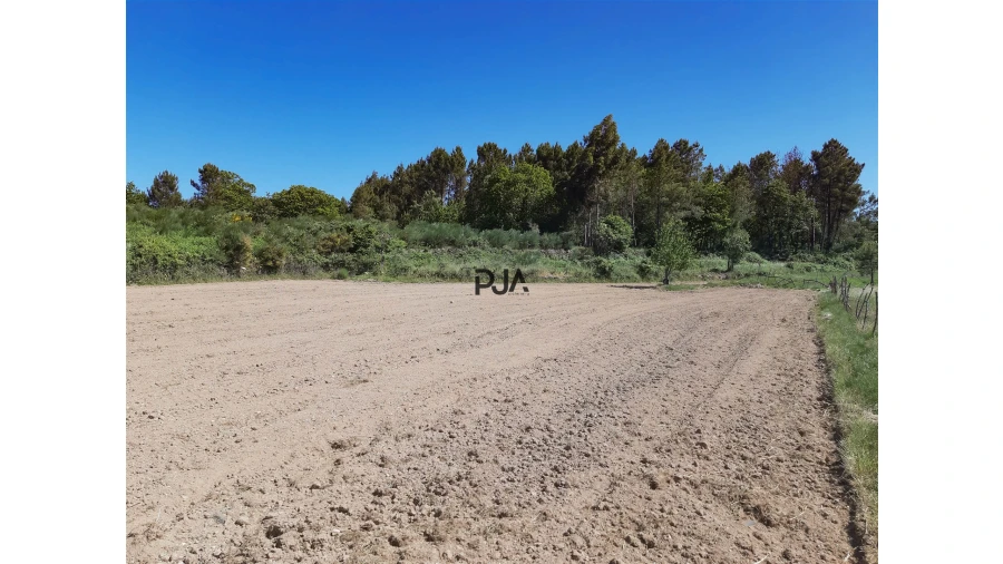 Quinta T0 para Venda em Algodres Foto 9