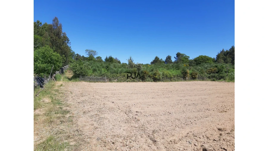 Quinta T0 para Venda em Algodres Foto 8