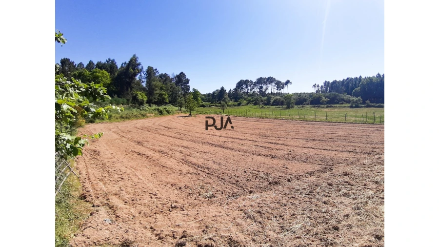 Quinta T0 para Venda em Algodres Foto 7