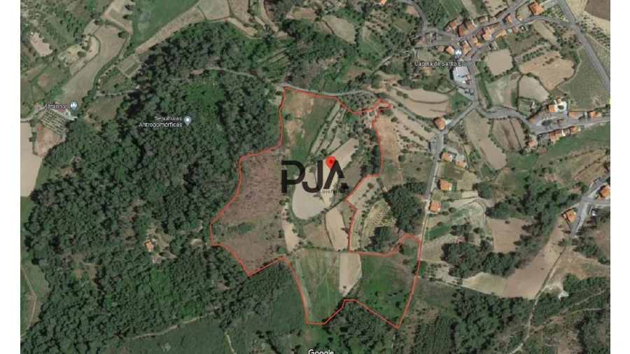 Quinta T0 para Venda em Algodres Foto 15