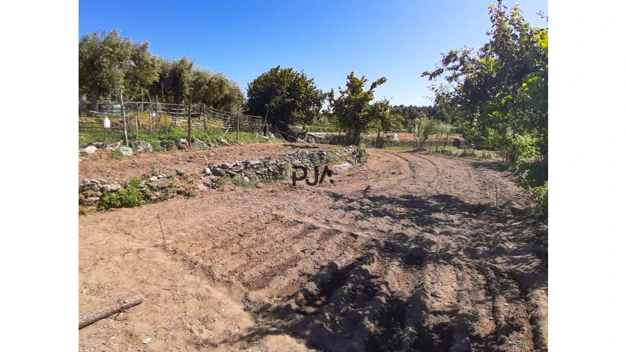 Quinta T0 para Venda em Algodres Foto 10