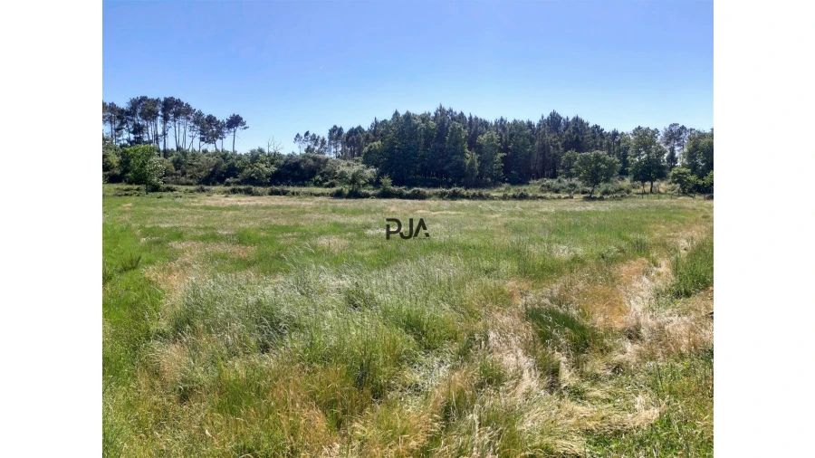 Quinta T0 para Venda em Algodres Foto 12