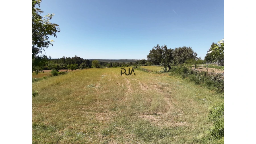 Quinta T0 para Venda em Algodres Foto 14