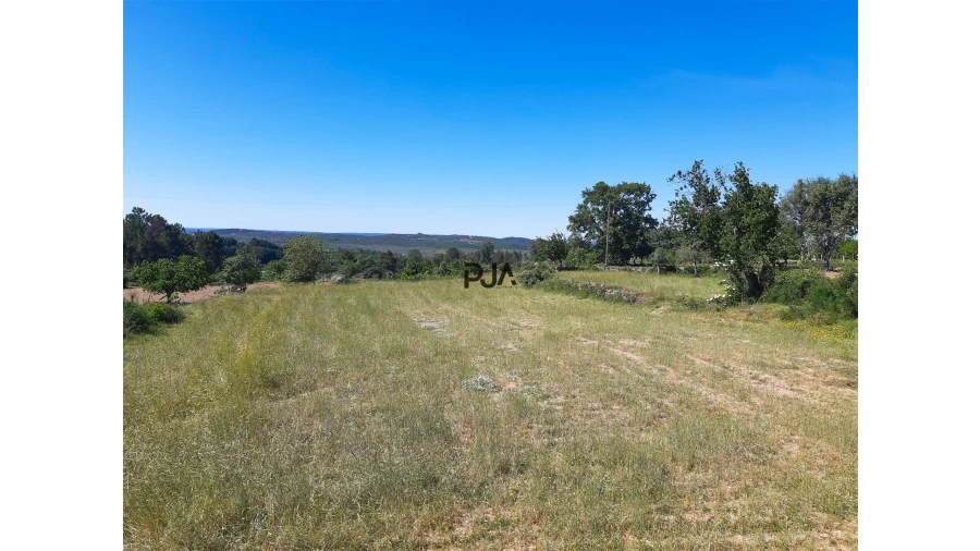 Quinta T0 para Venda em Algodres Foto 13