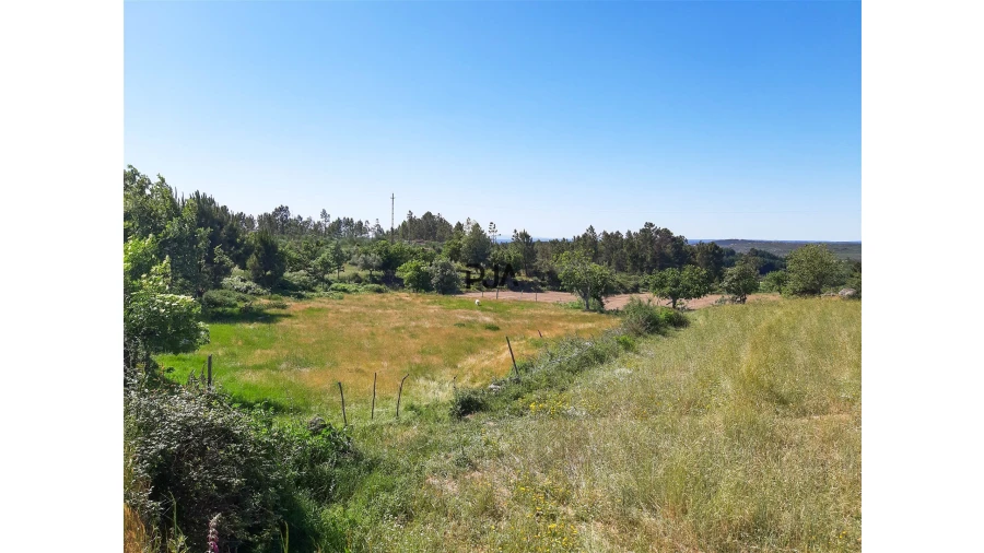 Quinta T0 para Venda em Algodres Foto 11