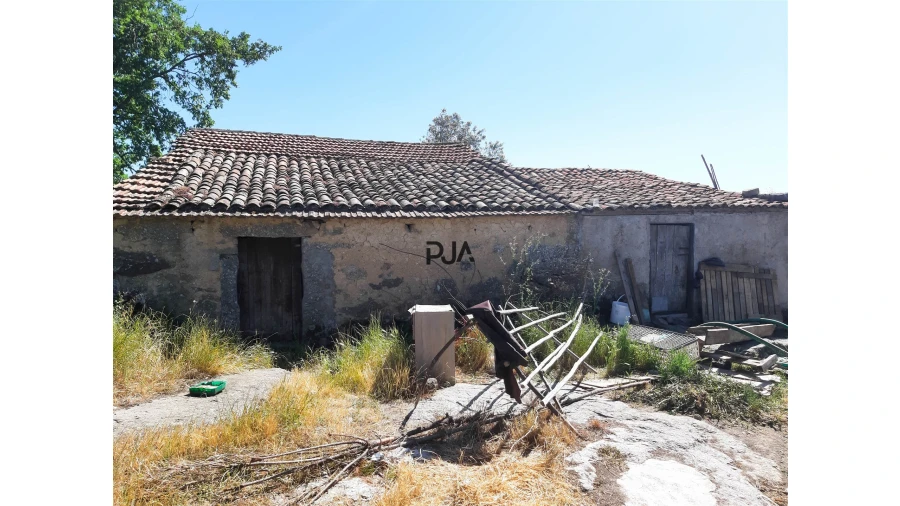 Quinta T0 para Venda em Algodres Foto 5