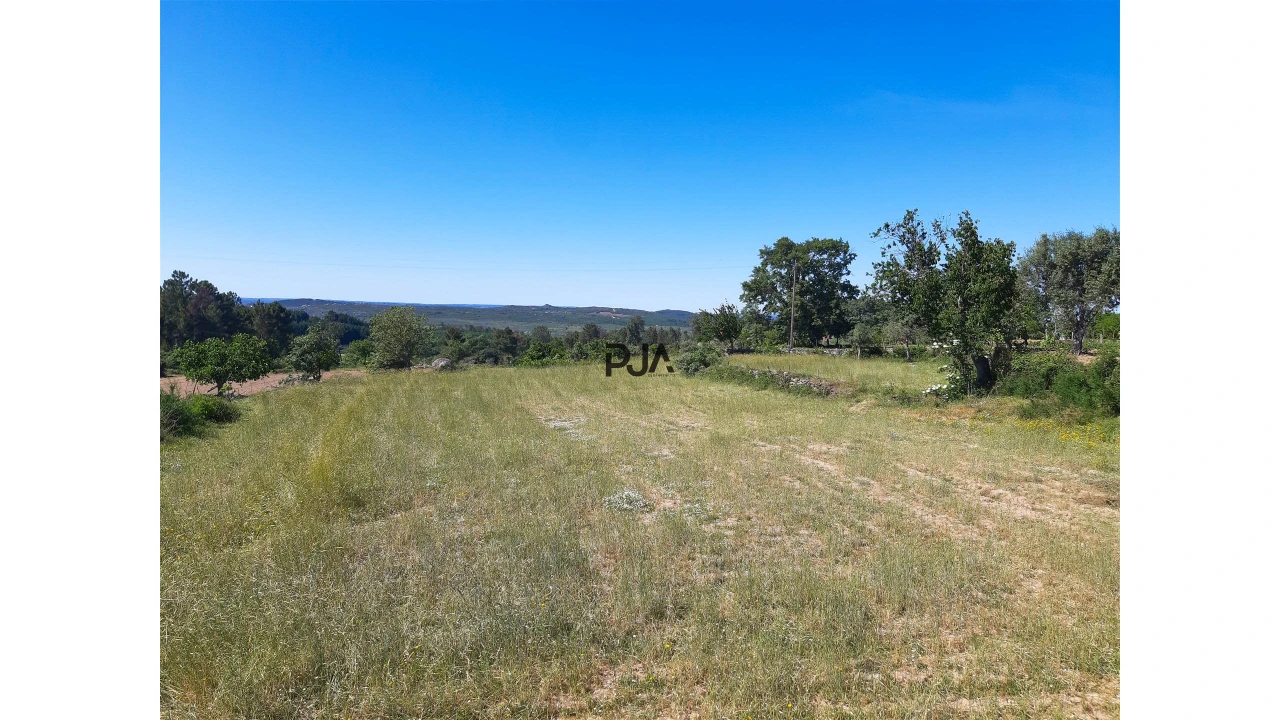 Quinta T0 para Venda em Algodres Foto 13