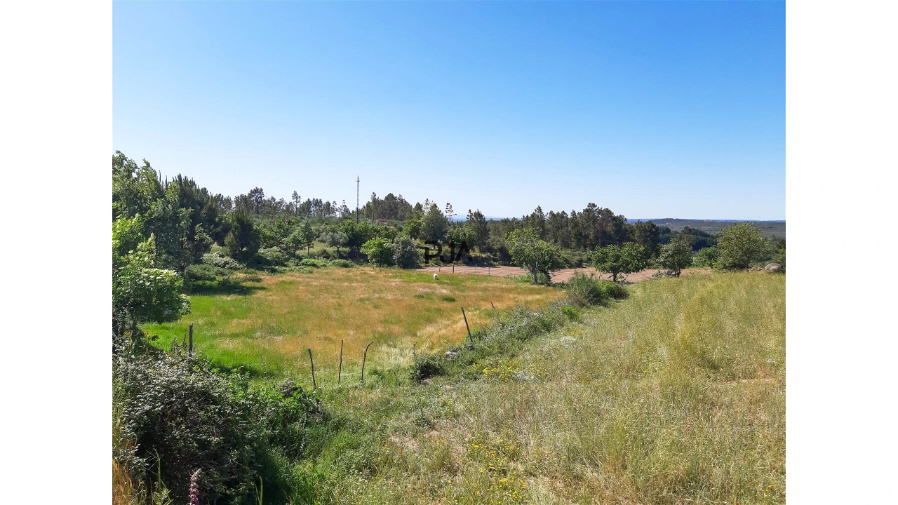 Quinta T0 para Venda em Algodres Foto 11