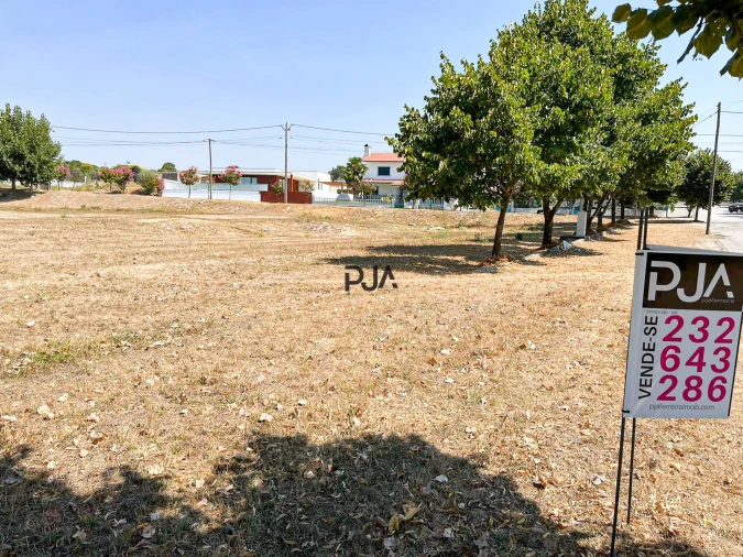 Terreno para Venda em Nelas Foto 4
