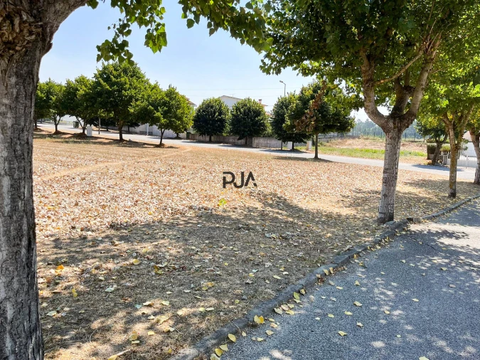 Terreno para Venda em Nelas Foto 5