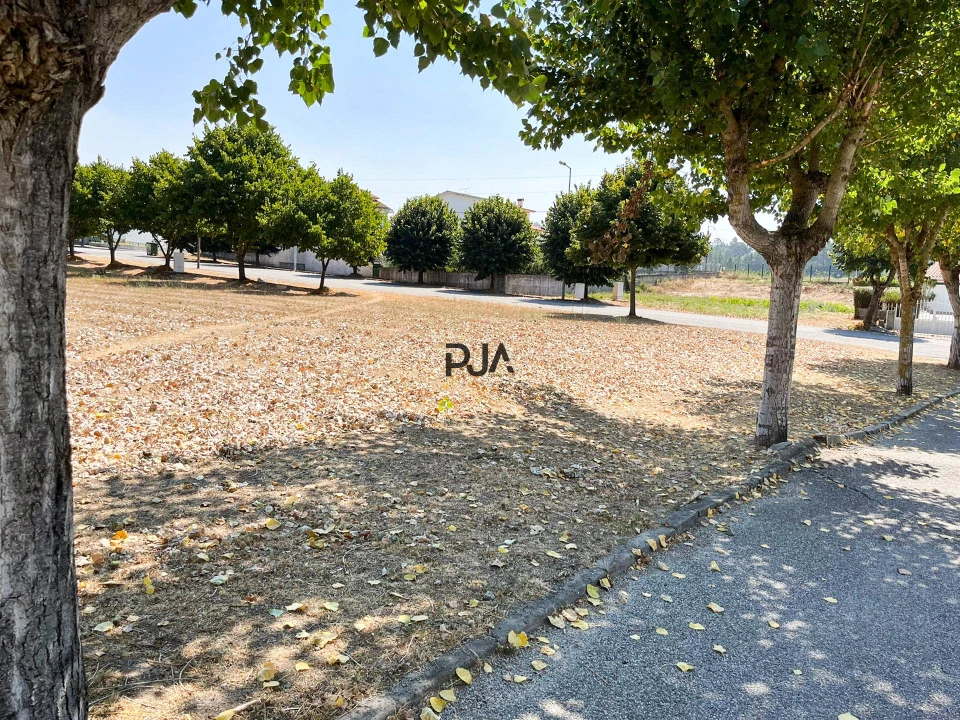 Terreno para Venda em Nelas Foto 5