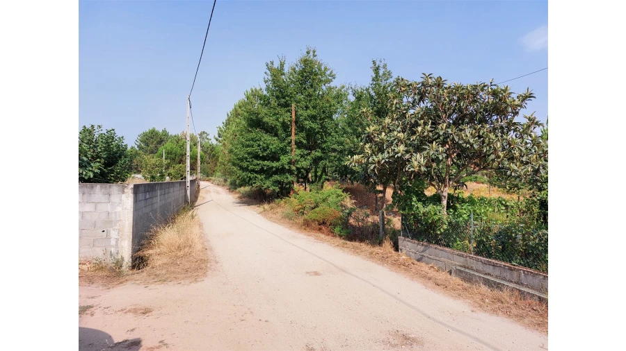 Terreno para Venda em Fornos de Maceira Dão Foto 8
