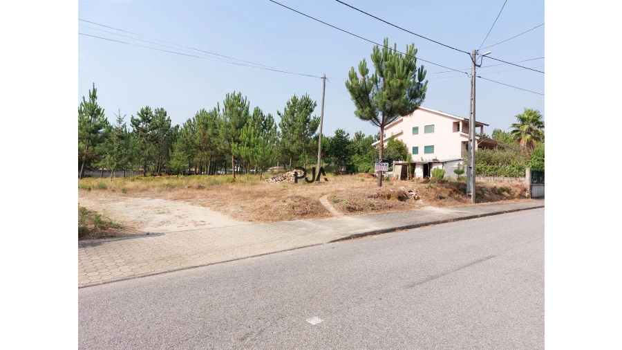 Terreno para Venda em Fornos de Maceira Dão Foto 3