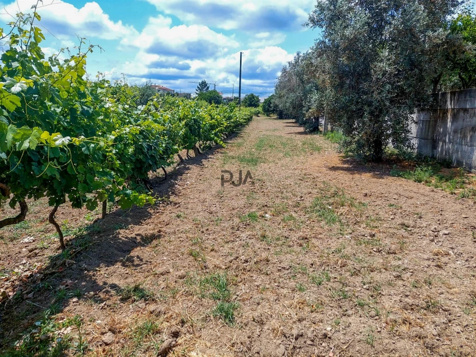 Moradia T5 para Venda em Insua Foto 17