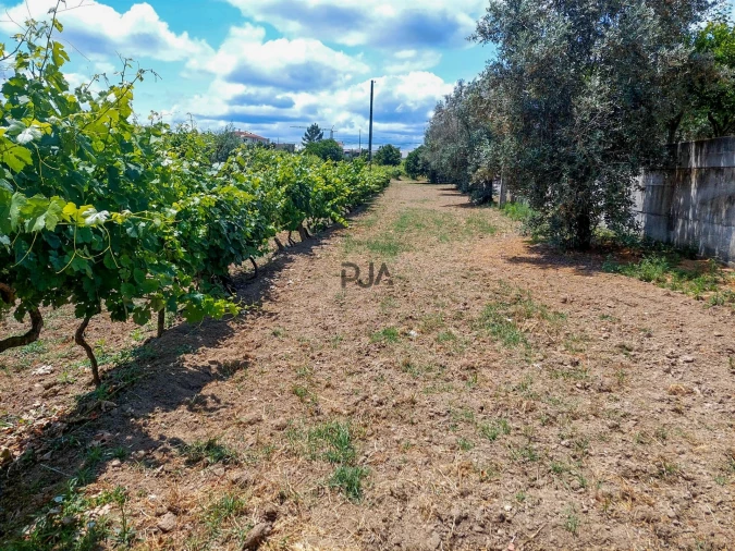 Moradia T5 para Venda em Insua Foto 17