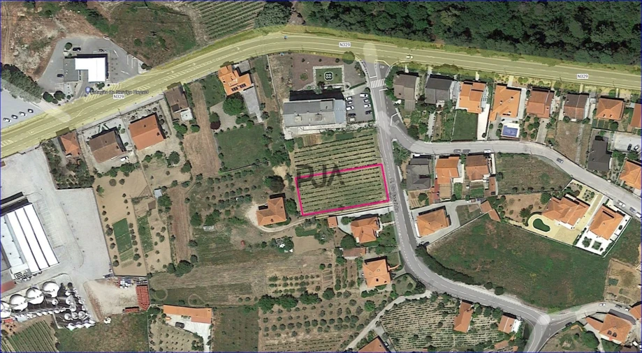 Terreno para Venda em Insua Foto 5