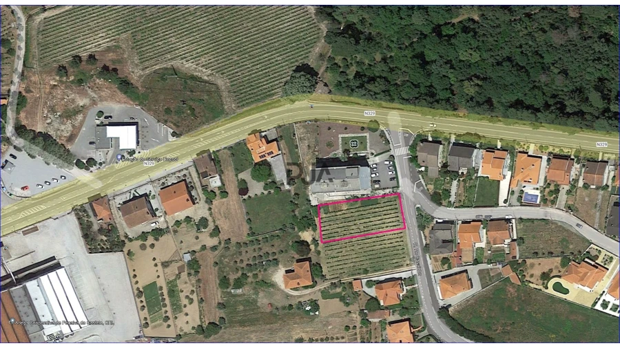 Terreno para Venda em Insua Foto 4