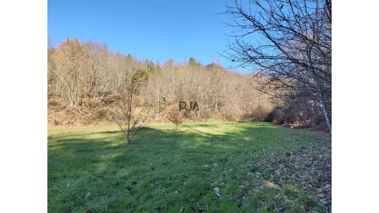 Terreno para Venda em Pindo Foto 8