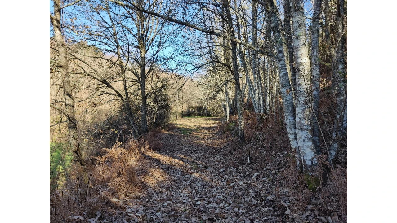 Terreno para Venda em Pindo Foto 7