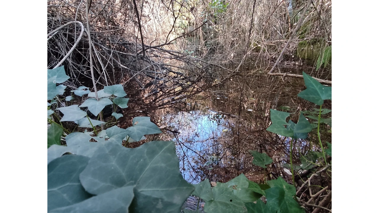Terreno para Venda em Pindo Foto 9