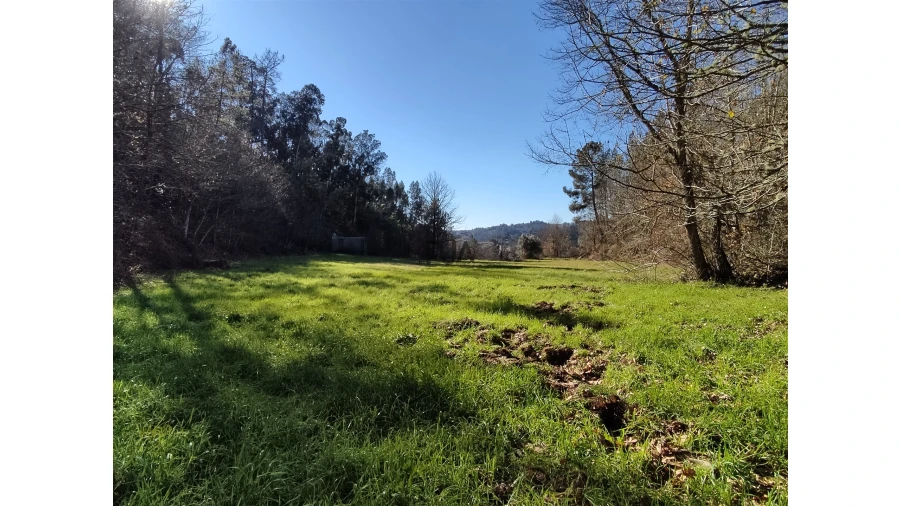 Terreno para Venda em Pindo