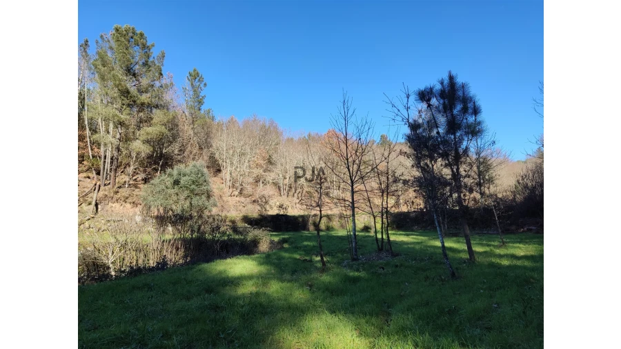 Terreno para Venda em Pindo Foto 4