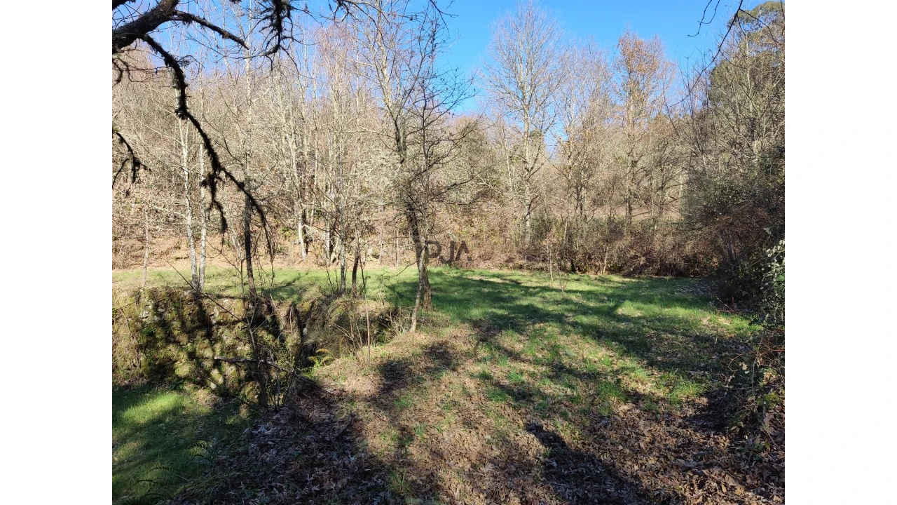 Terreno para Venda em Pindo Foto 11