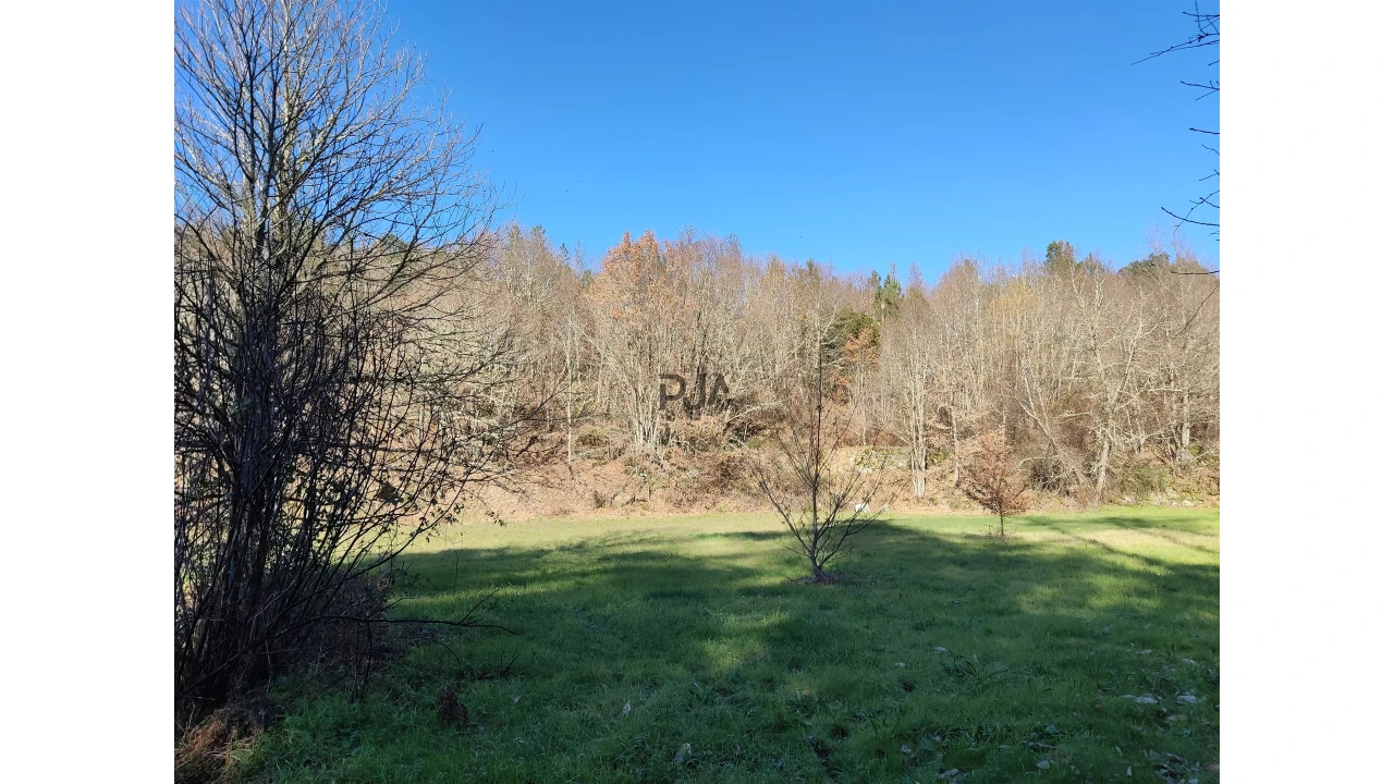 Terreno para Venda em Pindo Foto 6