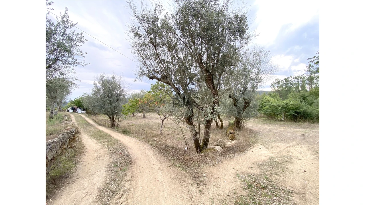 Terreno para Venda em Insua Foto 2