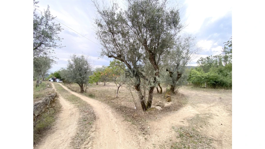 Terreno para Venda em Insua Foto 2