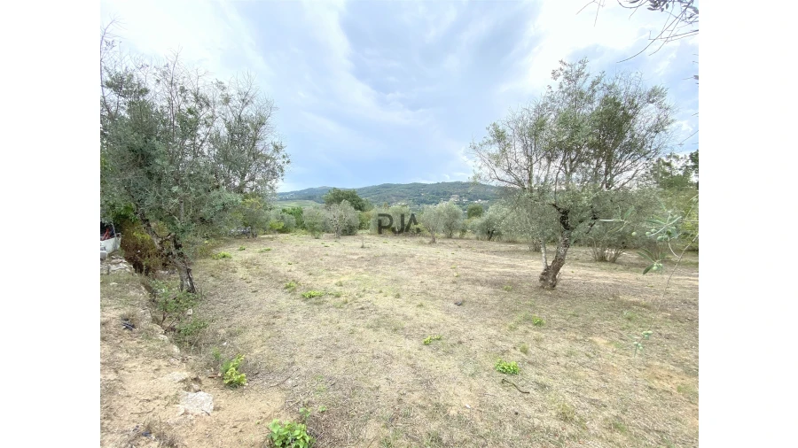 Terreno para Venda em Insua
