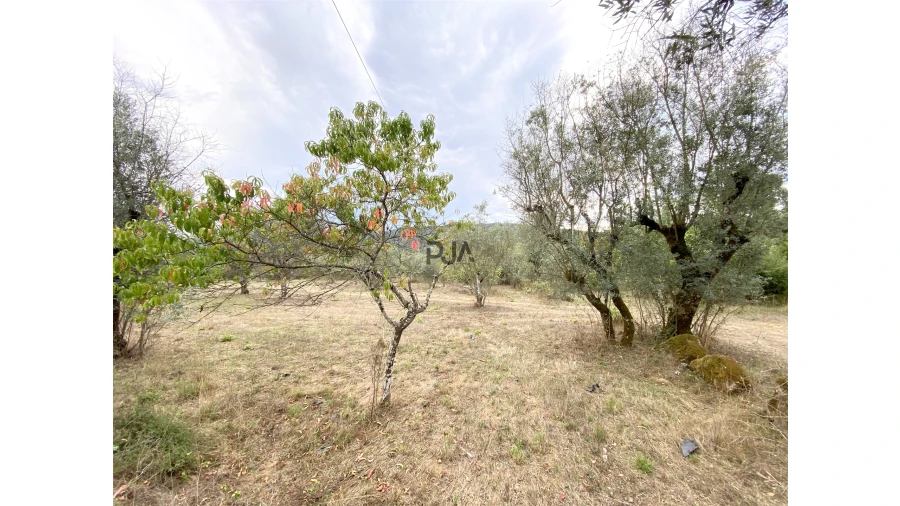 Terreno para Venda em Insua Foto 3