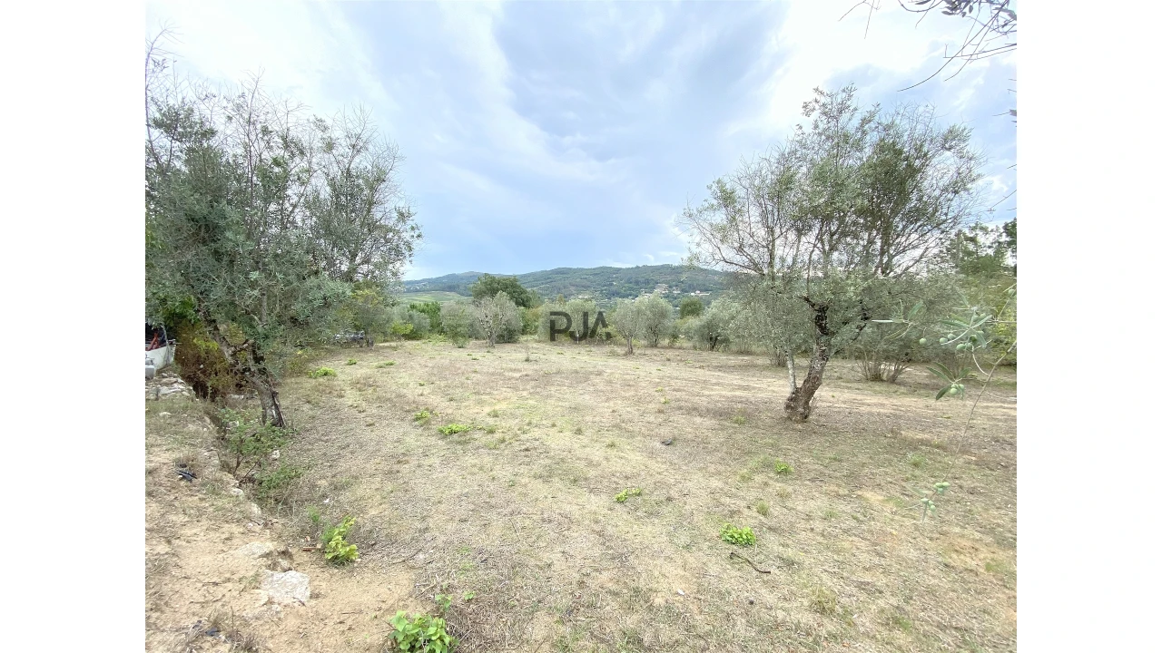 Terreno para Venda em Insua Foto 1
