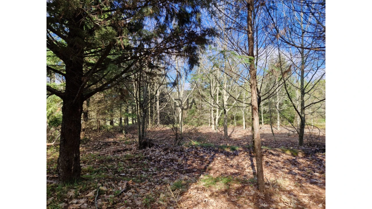 Quinta T0 para Venda em Infias Foto 7