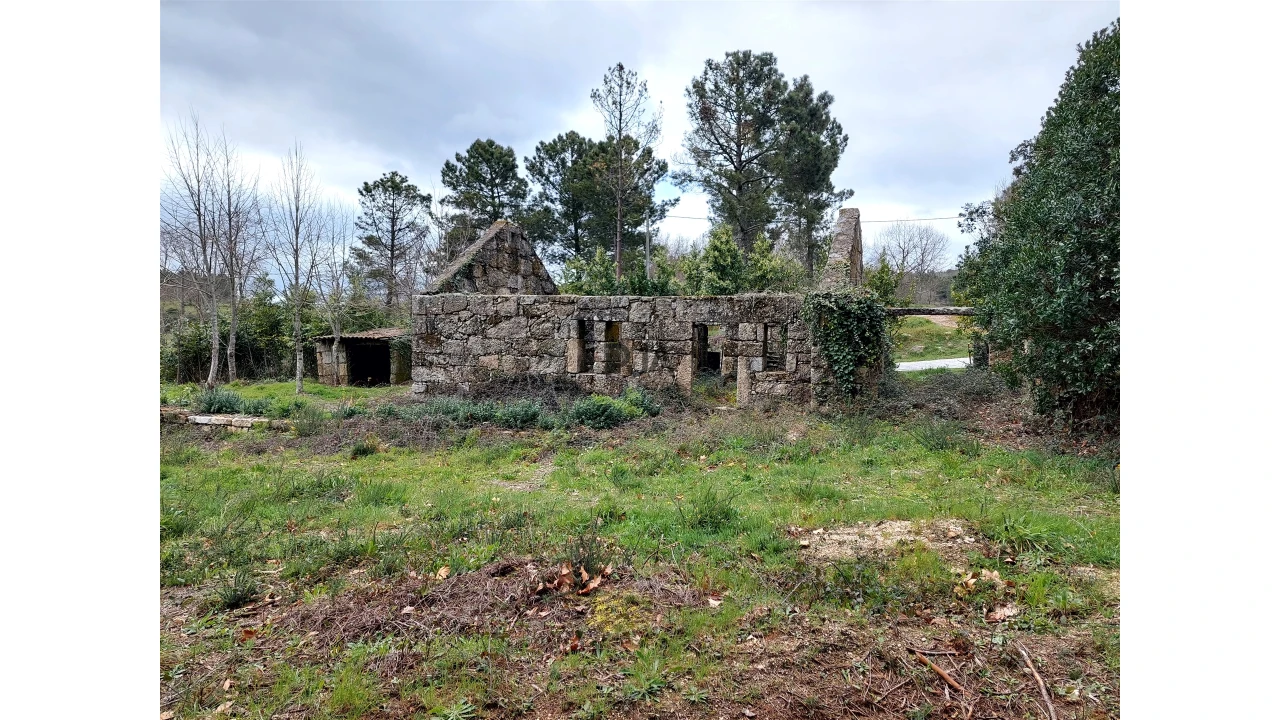 Quinta T0 para Venda em Infias Foto 1