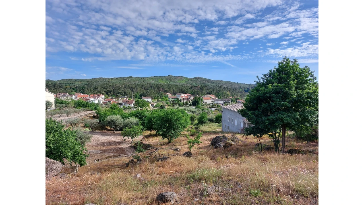 Terreno para Venda em Fornos de Maceira Dão Foto 3