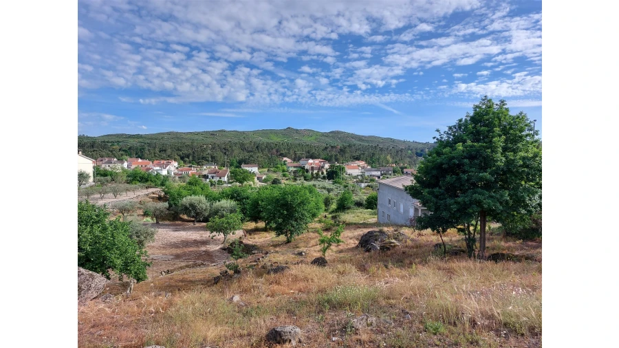 Terreno para Venda em Fornos de Maceira Dão Foto 3