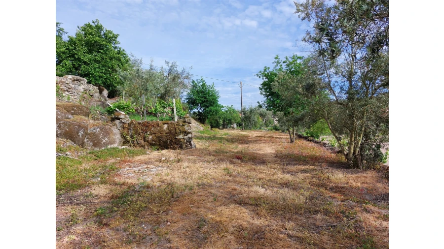 Terreno para Venda em Fornos de Maceira Dão Foto 2