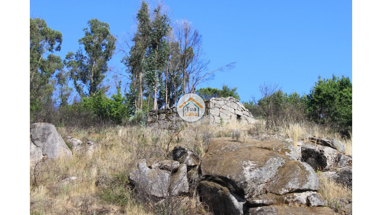 Quinta T5 para Venda em Silgueiros Foto 21
