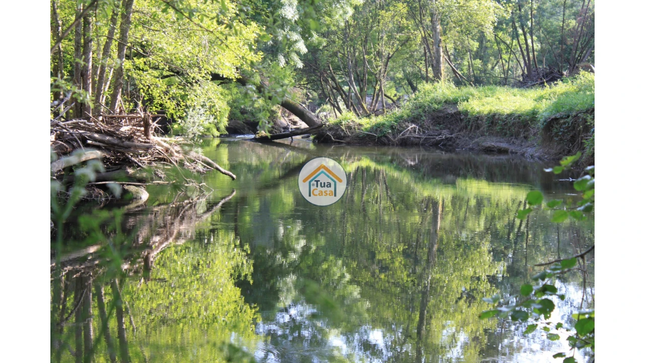 Quinta T5 para Venda em Silgueiros Foto 16