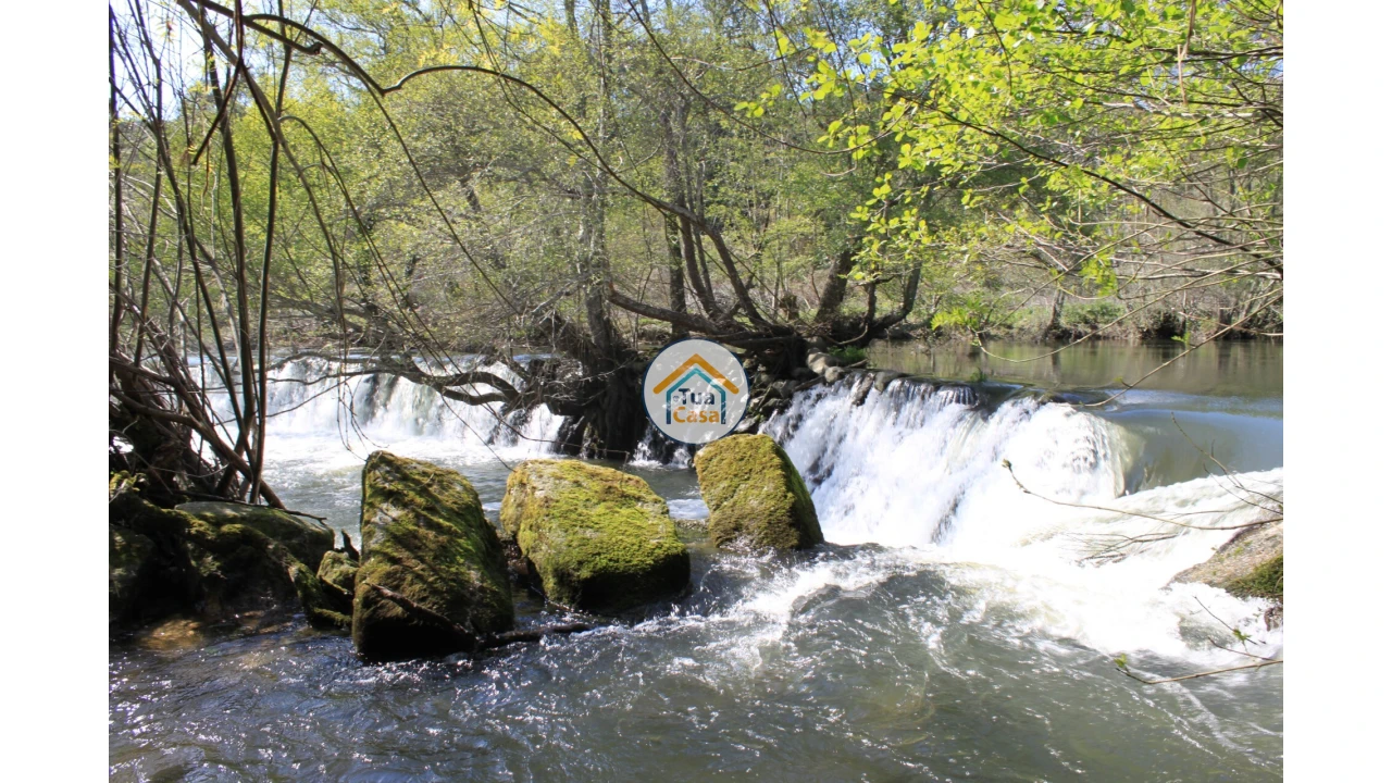 Quinta T5 para Venda em Silgueiros Foto 14