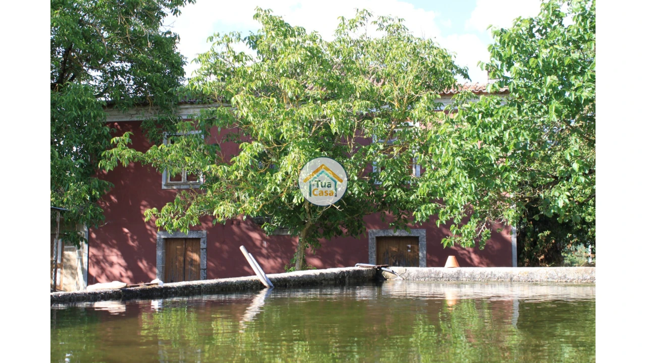 Quinta T5 para Venda em Silgueiros Foto 4