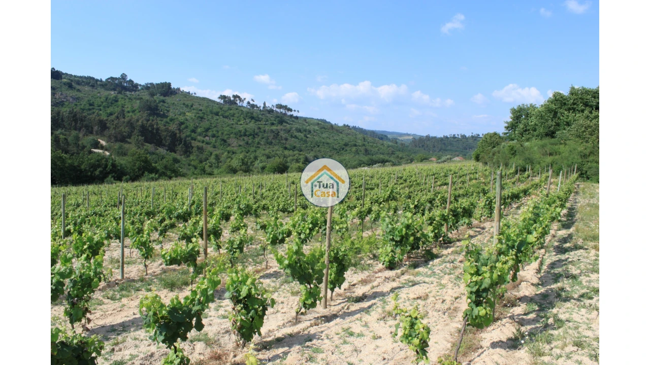 Quinta T5 para Venda em Silgueiros Foto 12