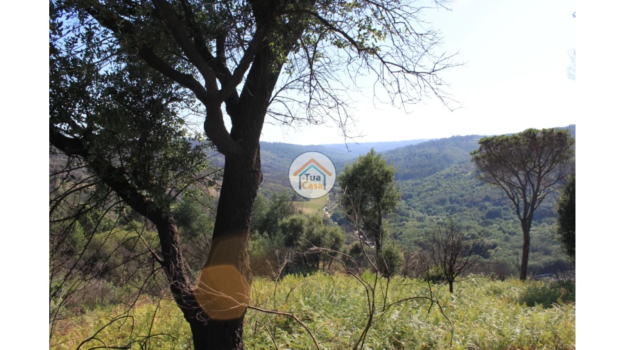 Quinta T5 para Venda em Silgueiros Foto 26