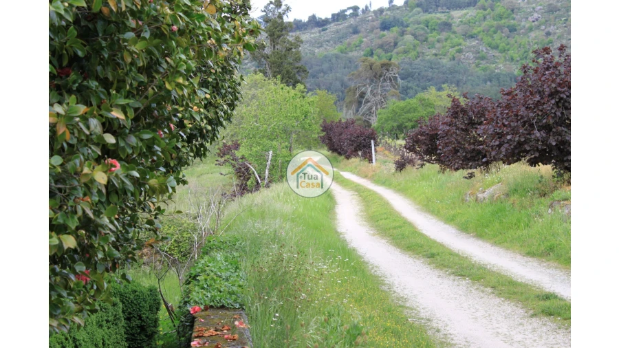 Quinta T5 para Venda em Silgueiros Foto 9