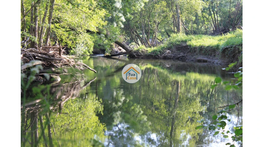 Quinta T5 para Venda em Silgueiros Foto 16