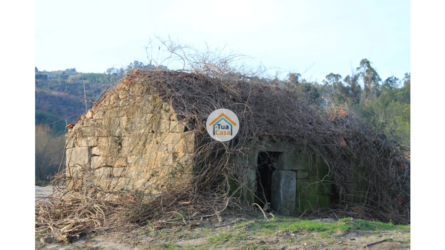 Quinta T5 para Venda em Silgueiros Foto 18
