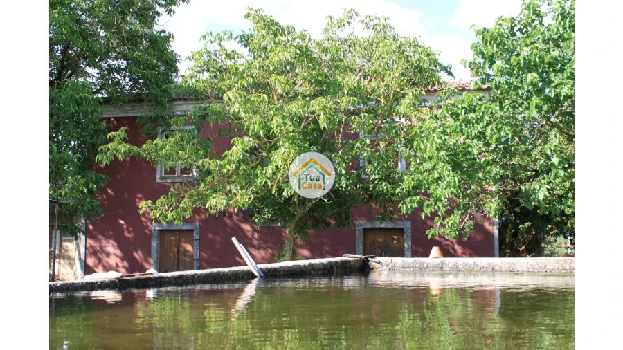 Quinta T5 para Venda em Silgueiros Foto 4