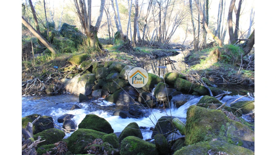 Quinta T5 para Venda em Silgueiros Foto 17